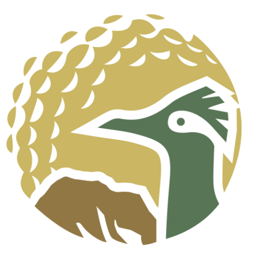 Roadrunner Golf & Country Club Mobile Home Park Borrego Springs